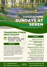 Seren Retreat - Sunday Forest Bathing
